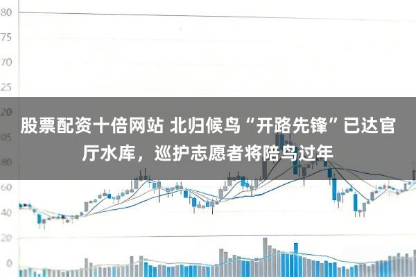 股票配资十倍网站 北归候鸟“开路先锋”已达官厅水库，巡护志愿者将陪鸟过年