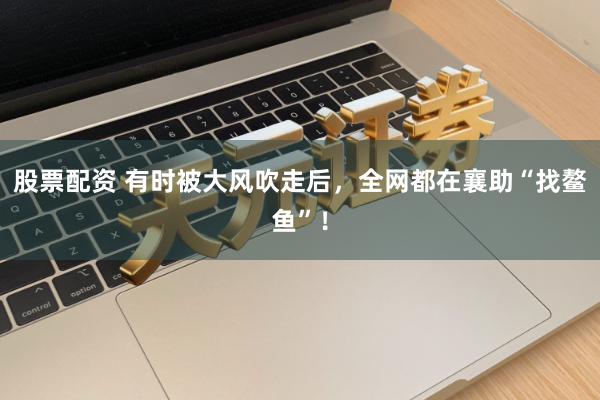 股票配资 有时被大风吹走后，全网都在襄助“找鳌鱼”！
